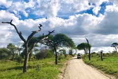 tanzanie-15