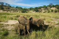 tanzanie-16