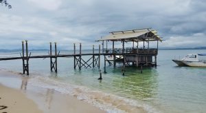 Ara Dinawan Island Resort 10