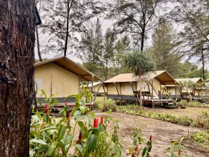 Ara Dinawan Island Resort 5