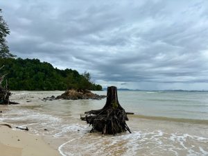 Ara Dinawan Island Resort 6