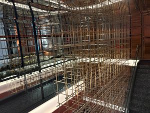 Bintang Collectionz Hotel 1