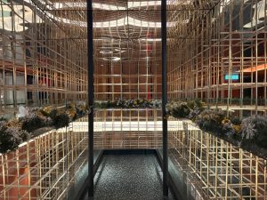 Bintang Collectionz Hotel 4