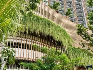 Birkin International5