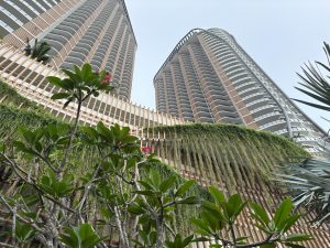 Birkin International9