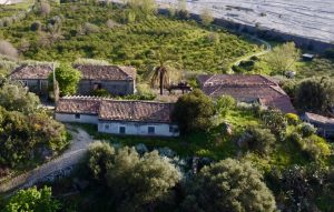 L’Agriturismo Il Bergamotto1