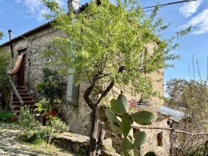 L’Agriturismo Il Bergamotto11
