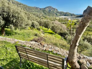 L’Agriturismo Il Bergamotto13