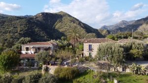 L’Agriturismo Il Bergamotto14