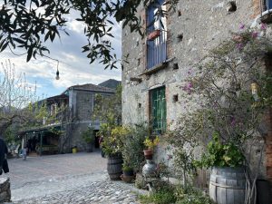 L’Agriturismo Il Bergamotto3