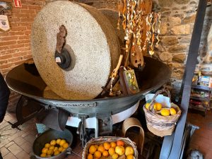 L’Agriturismo Il Bergamotto6