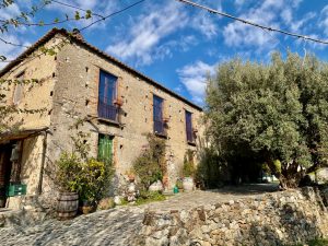 L’Agriturismo Il Bergamotto8