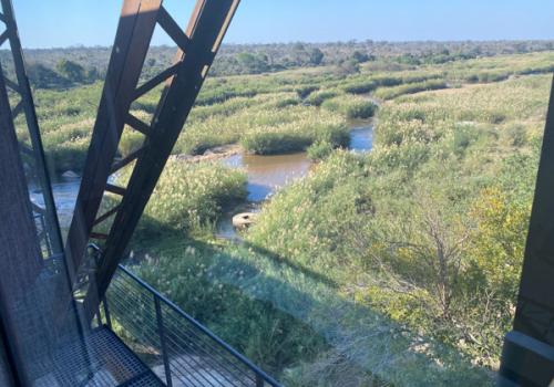 Kruger-Shalati-the-train-on-the-bridge0