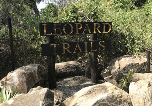 Leopart Trails YALA3 1